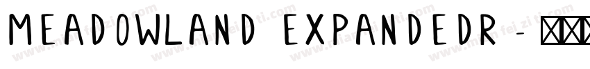 Meadowland ExpandedR字体转换